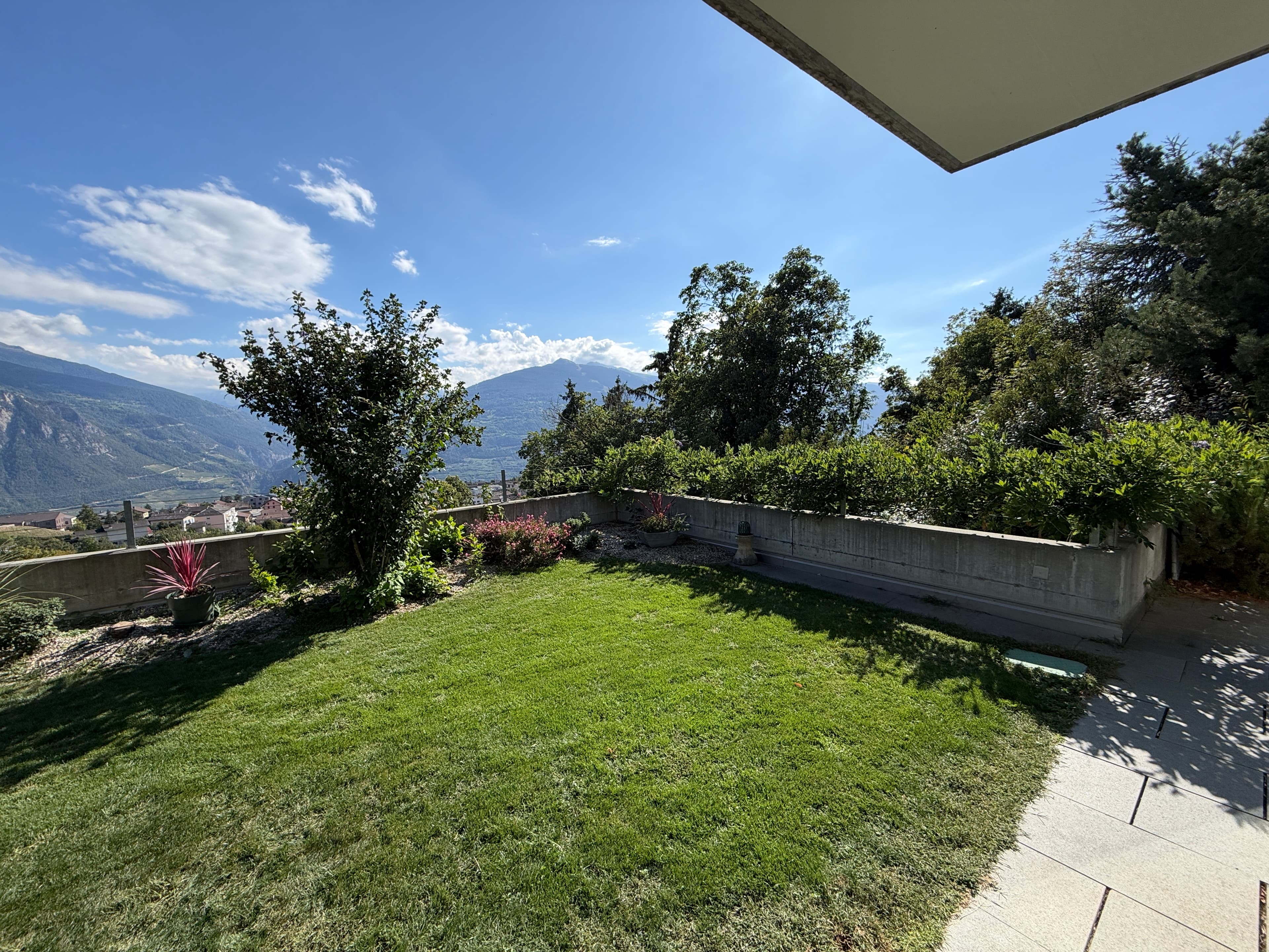 Pelouse et panorama sur les Alpes
